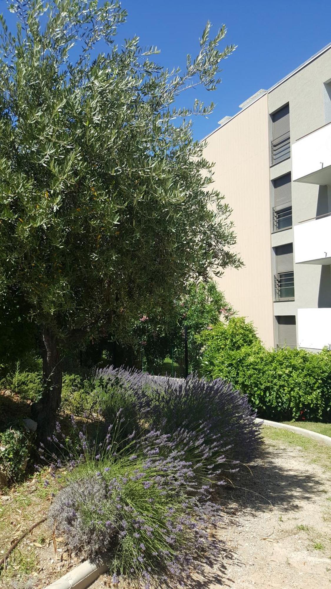 Studio Vista Leilighet Antibes Eksteriør bilde